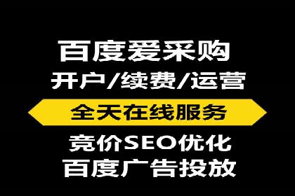 如何在有限预算下最大化百度推广费用的效果——案例解读